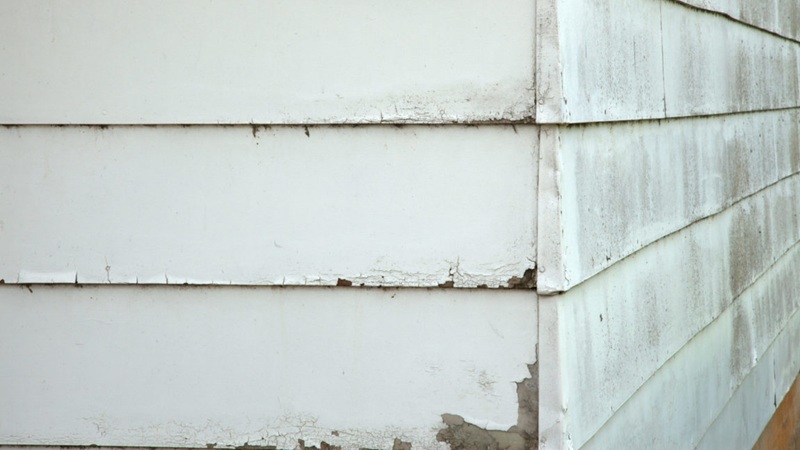 A,close,up,of,the,corner,of,a,building.