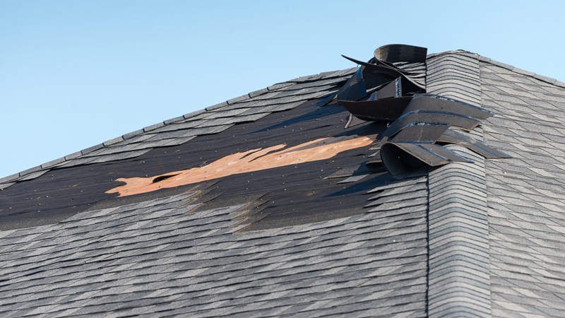 Damaged,shingle,roof