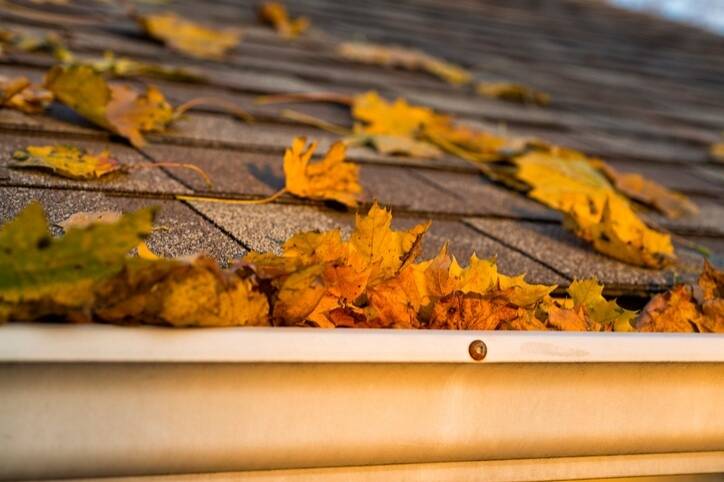 Take Care Of Your Roof