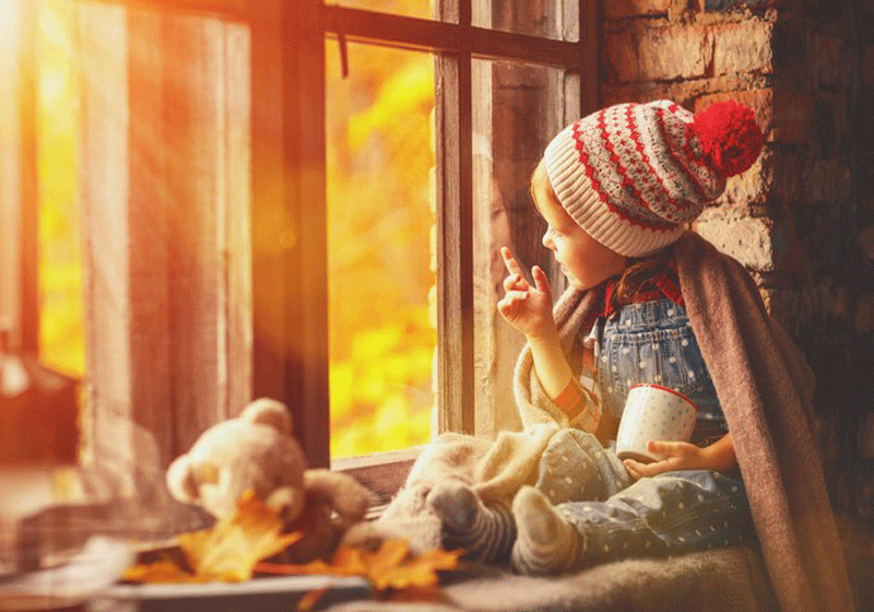 Windows In Minnesota