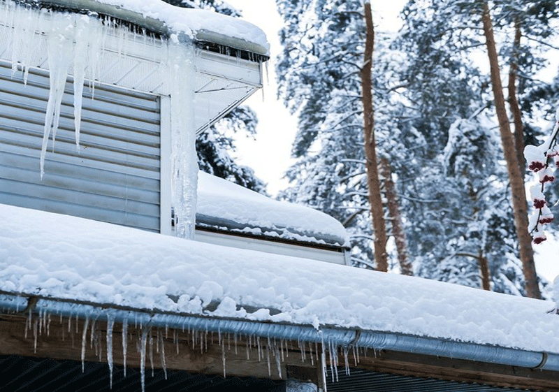 Minnesota Winter Storm Damage