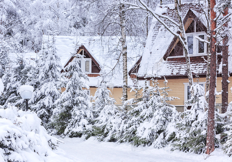Minnesota Winter Storm