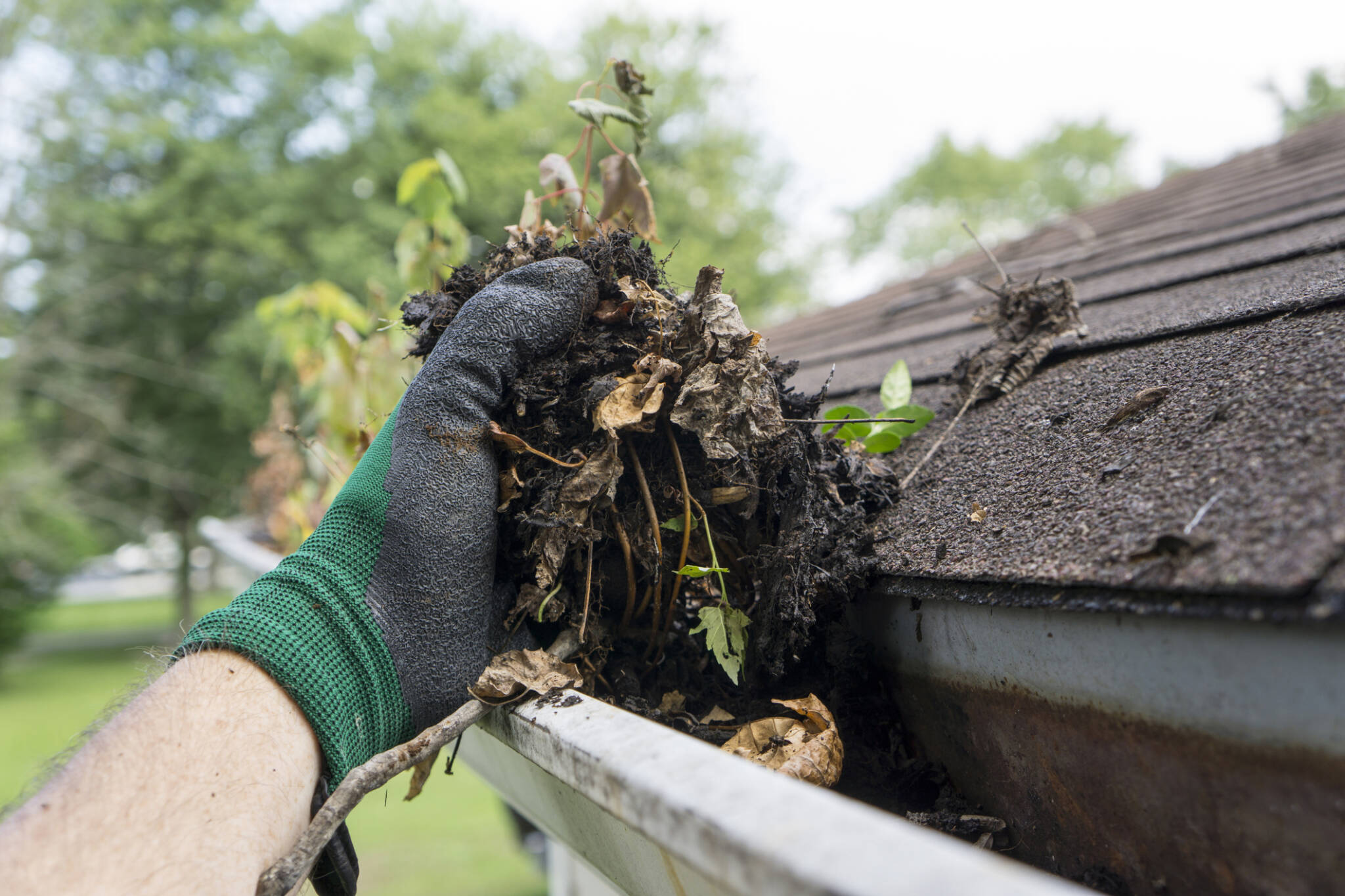 cleaning leaves out of gutters on home