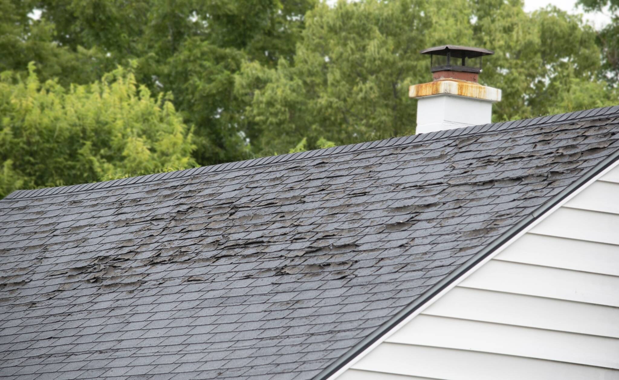 home in need of roof inspection